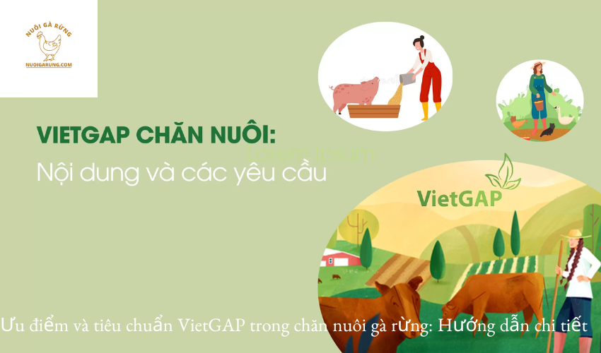 Read more about the article Ưu điểm và tiêu chuẩn VietGAP trong chăn nuôi gà rừng: Hướng dẫn chi tiết