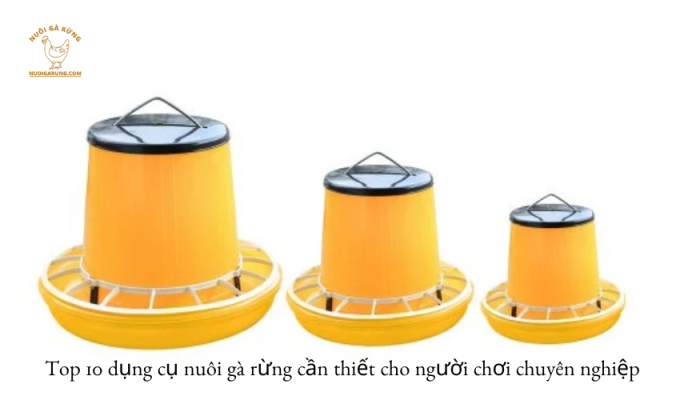 Read more about the article Top 10 dụng cụ nuôi gà rừng cần thiết cho người chơi chuyên nghiệp